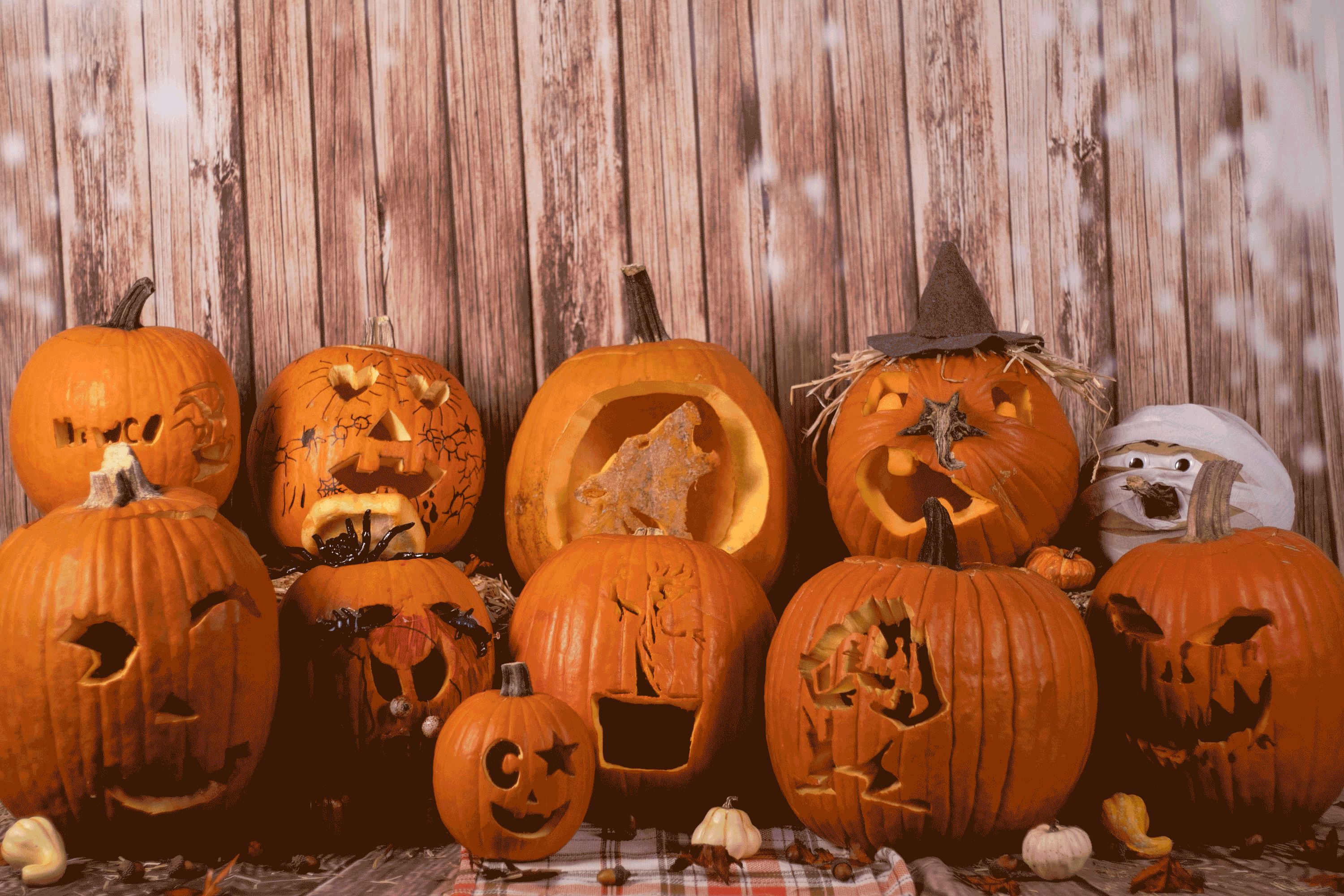 Eleven carved pumpkins for Newco Halloween 2019